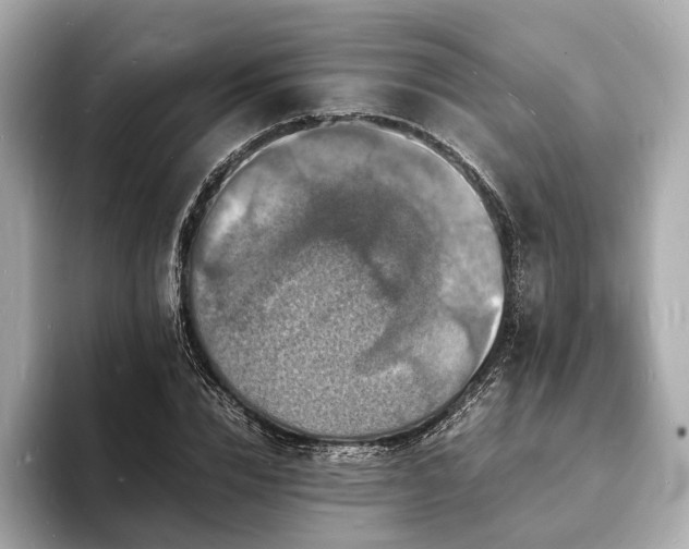 X0000094060832200710261224