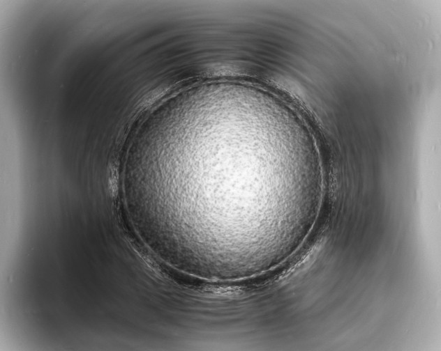X0000094060833200710261224