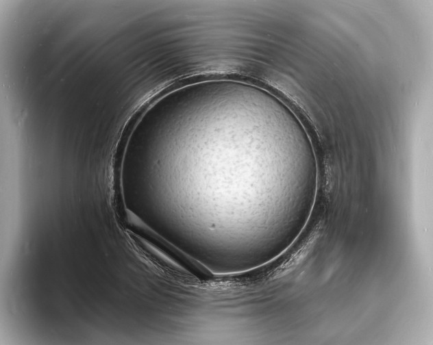 X0000094060834200710261224
