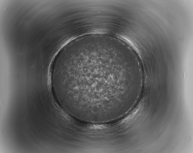 X0000094060835200710261224