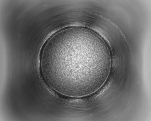 X0000094060837200710261224