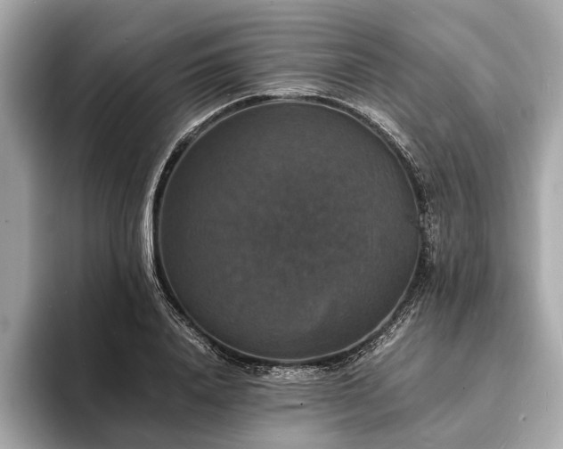 X0000094060840200710261224