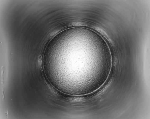 X0000094060841200710261224