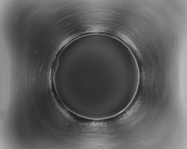 X0000094060842200710261224