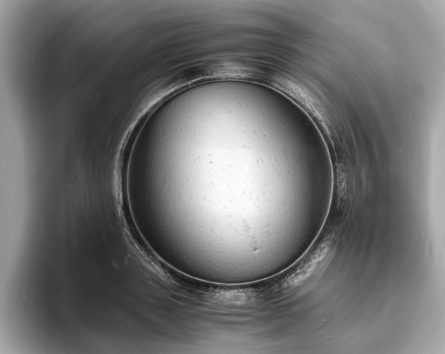 X0000094060843200710261224