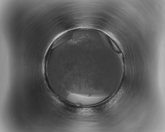 X0000094060846200710261224