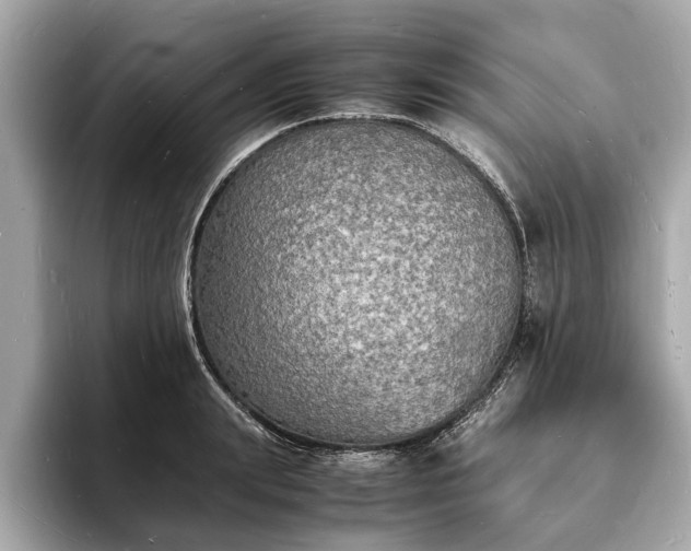 X0000094060847200710261224