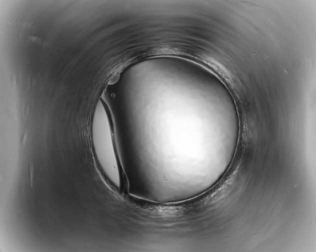 X0000094060849200710261224