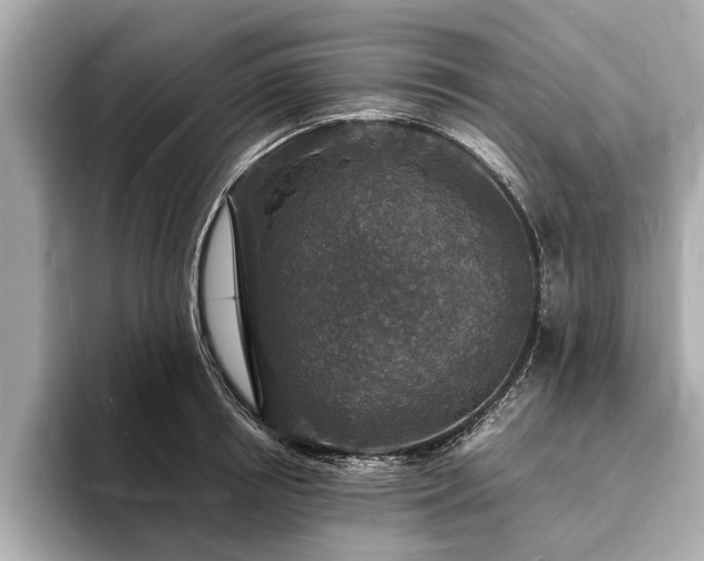 X0000094060850200710261224
