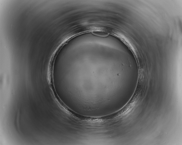 X0000094060851200710261224