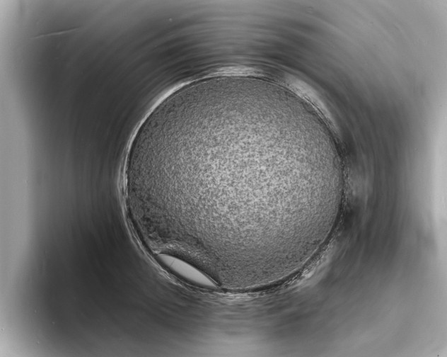 X0000094060852200710261224