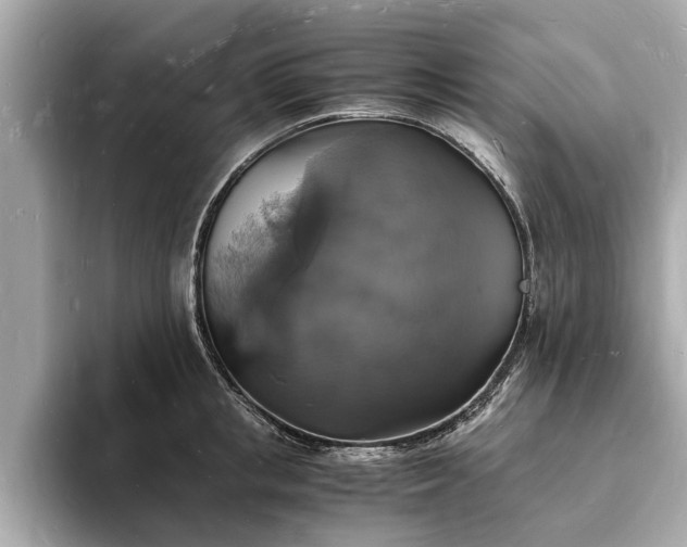 X0000094060853200710261224