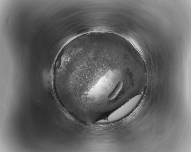 X0000094060854200710261224