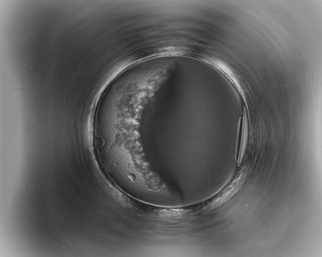 X0000094060859200710261224