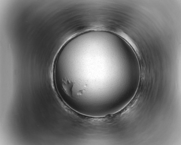 X0000094060861200710261224