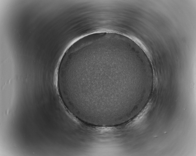 X0000094060862200710261224