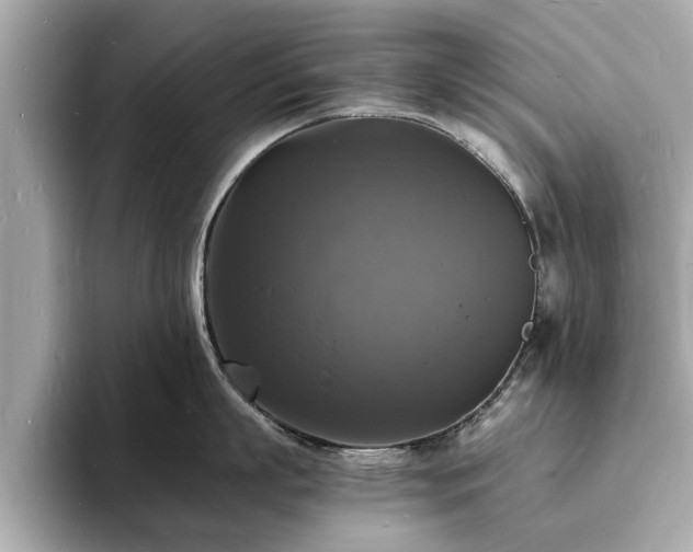 X0000094060863200710261224