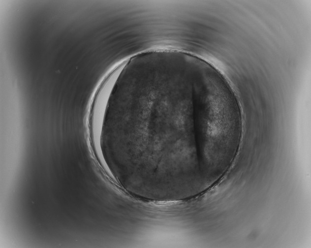 X0000094060864200710261224