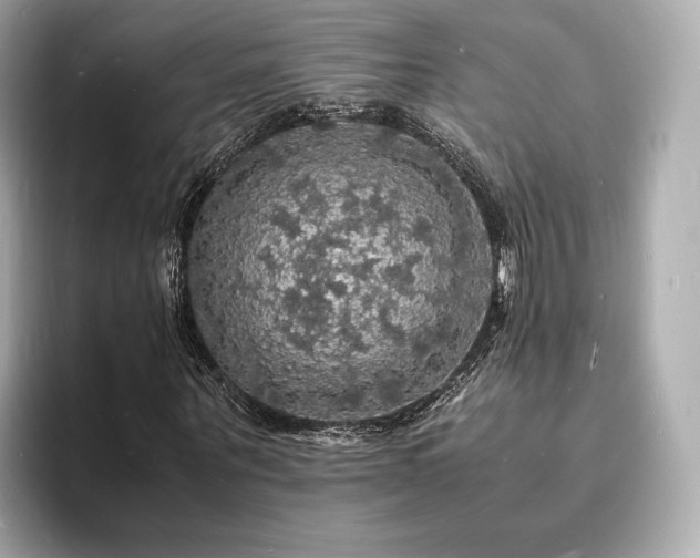 X0000094060867200710261223