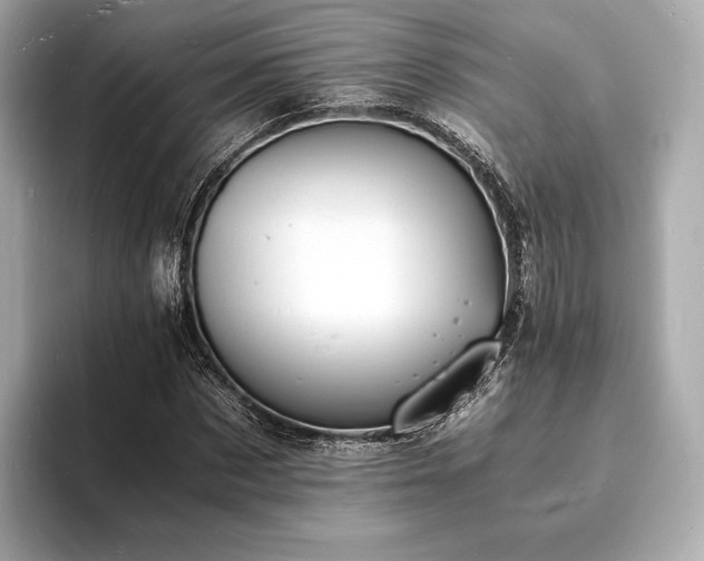 X0000094060873200710261223