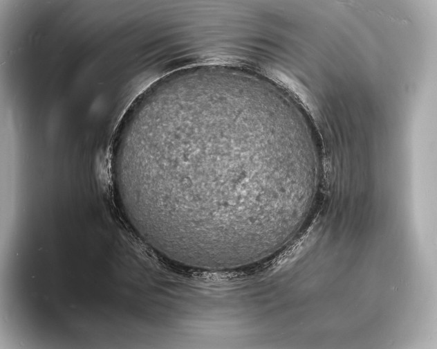 X0000094060875200710261223