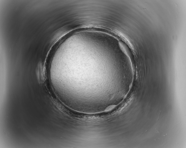 X0000094060876200710261223
