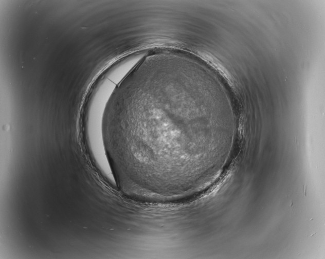 X0000094060877200710261223
