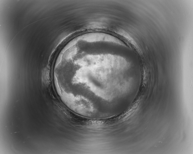 X0000094060878200710261223