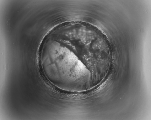 X0000094060879200710261223