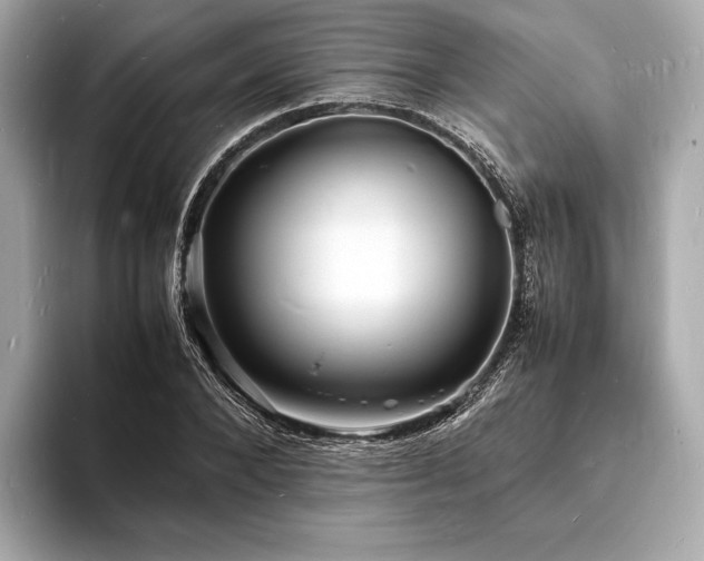 X0000094060880200710261223