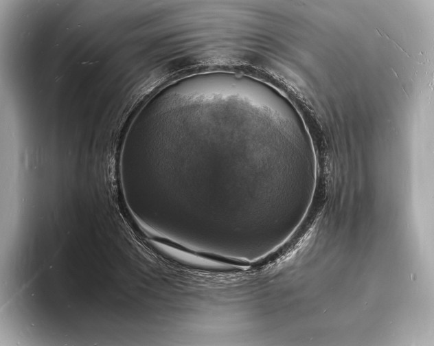X0000094060881200710261223