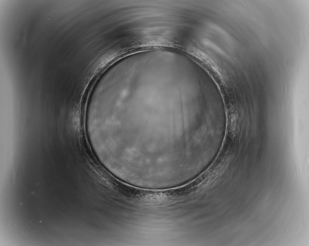 X0000094060882200710261223