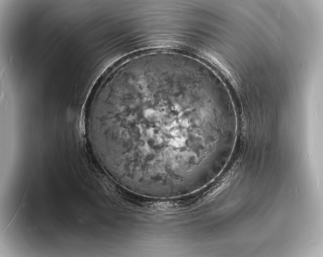 X0000094060883200710261223