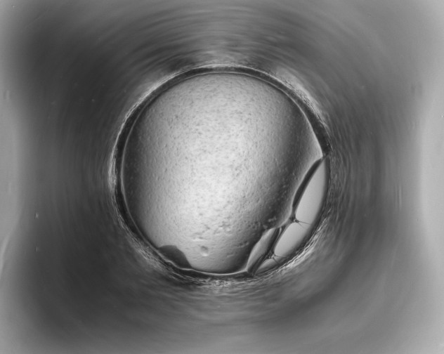 X0000094060885200710261223