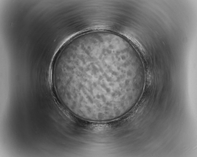 X0000094060886200710261223