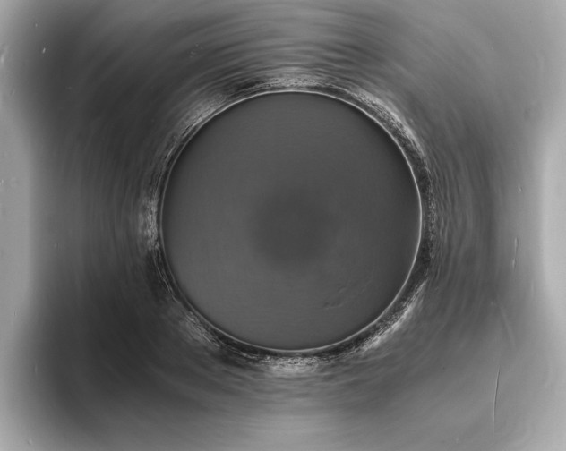 X0000094060889200710261223