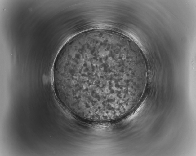 X0000094060891200710261223