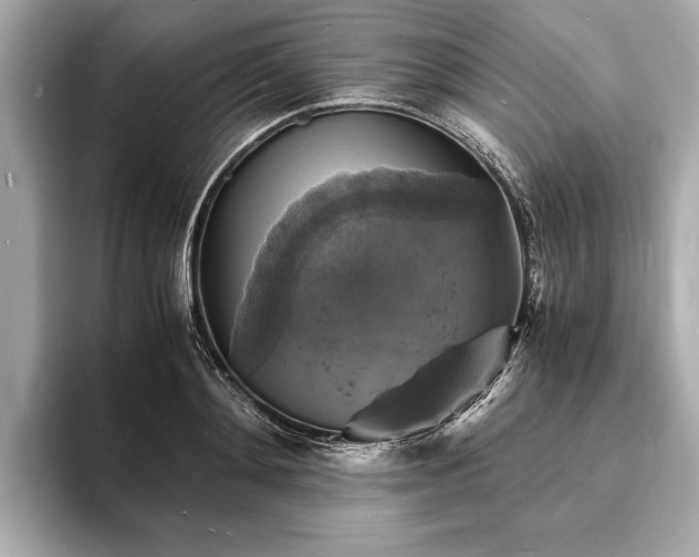 X0000094060892200710261223