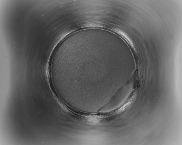 X0000094060893200710261223