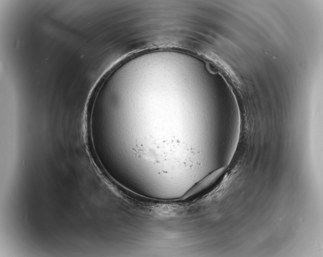 X0000094060894200710261223