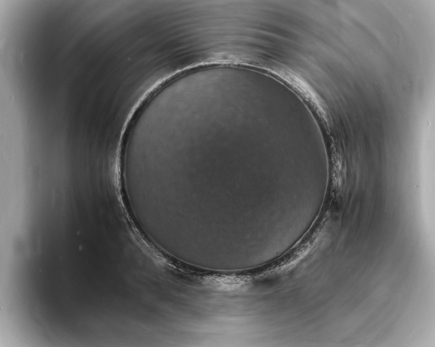 X0000094060896200710261223