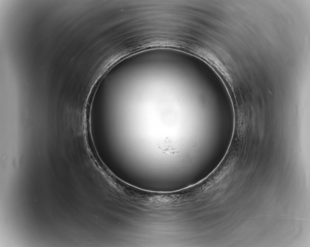X0000094060898200710261223