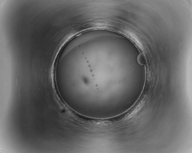 X0000094060899200710261223