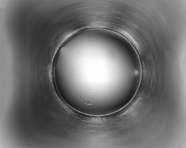X0000094060901200710261223