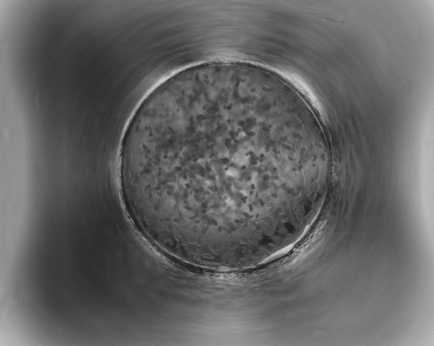 X0000094060903200710261223