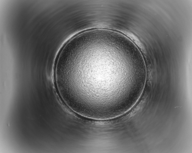 X0000094060904200710261223