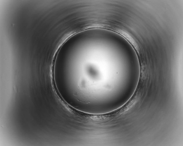 X0000094060906200710261223