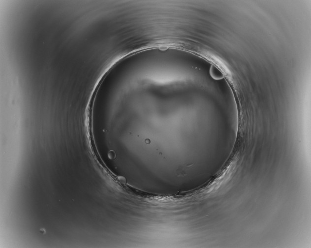 X0000094060907200710261223