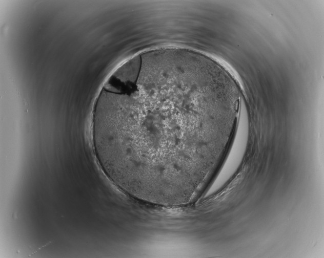 X0000094060911200710261223
