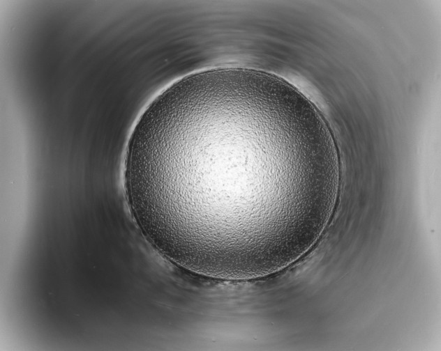 X0000094060912200710261223
